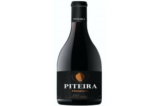 José Piteira Premium